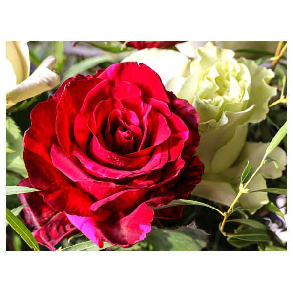 PHOTO84, CLUB, 84 , LUBERON